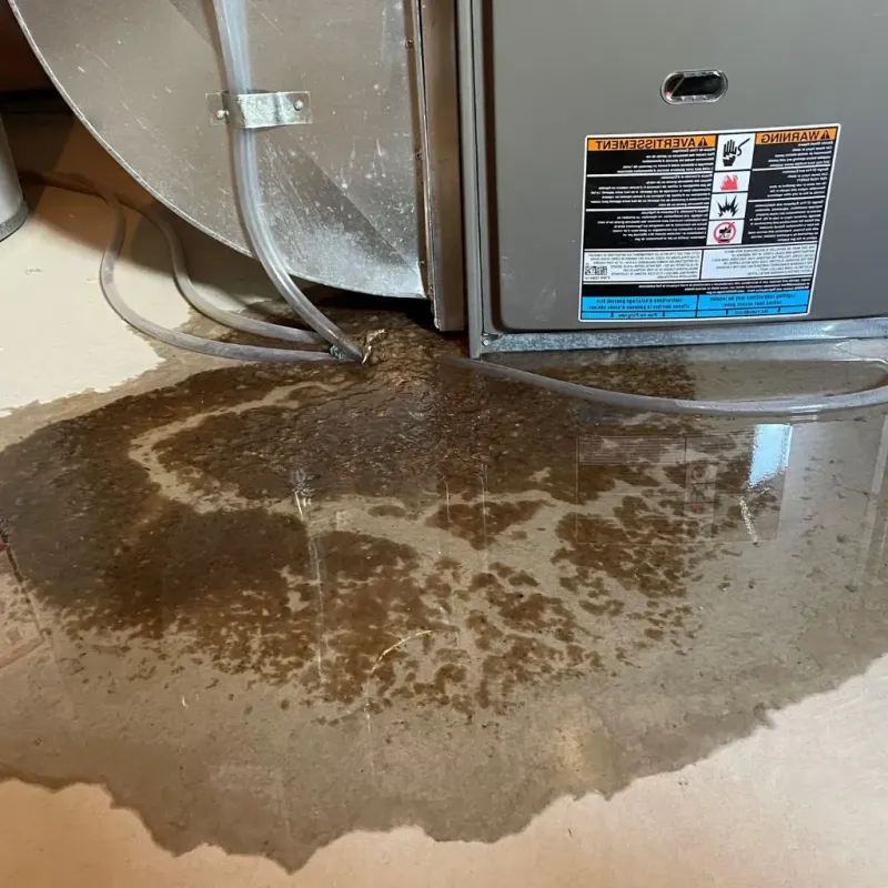 Pipe Burst and Leak Restoration in Newmarket, NH